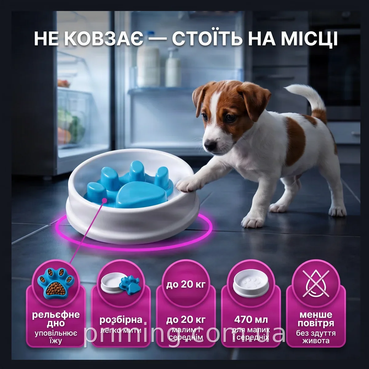 Миска для повільного годування Paw Perfect 470 мл із захистом від задухи для котів і собак дрібних порід