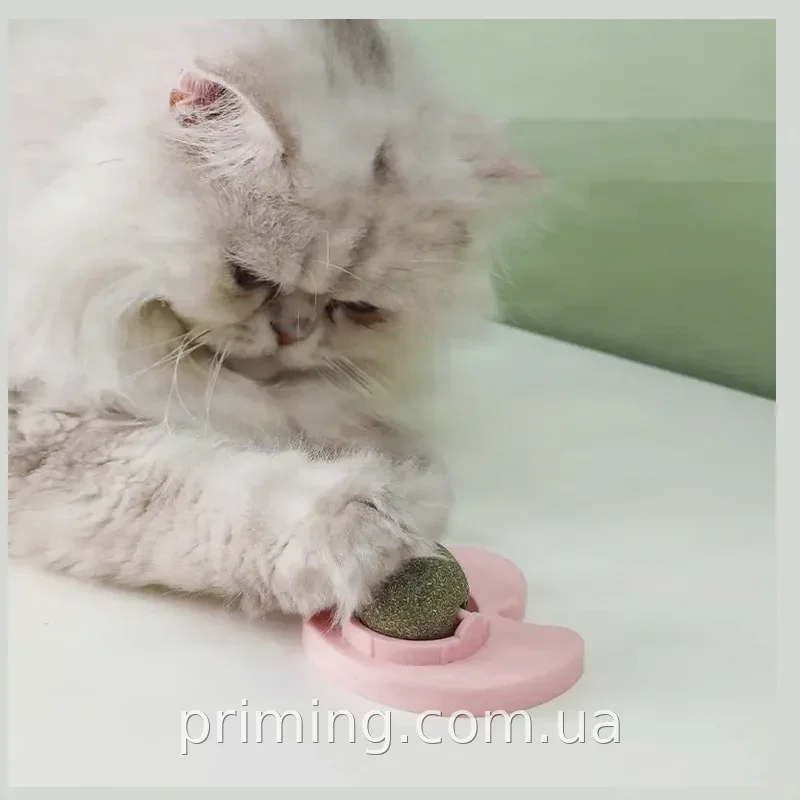 Игрушка-шарик для кошек с кошачьей мятой, вращающийся ролик, крепление на поверхность, пластик, AND LY-757