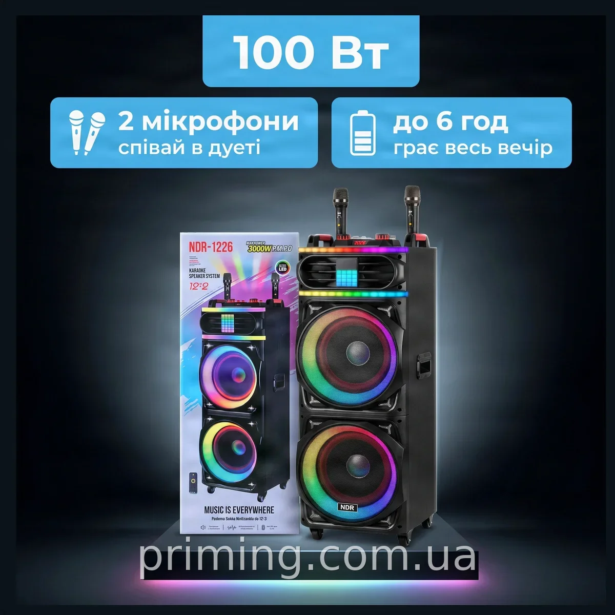 Портативная акустическая система NDR 1226 12 дюймов, 100 Вт, с Bluetooth, двумя микрофонами и пультом ДУ, FM