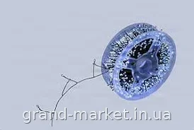 Гирлянда-мишура светодиодная 50 м, 1500 LED на зеленом проводе с пультом ДУ и 8 режимами для дома и улицы 220 В