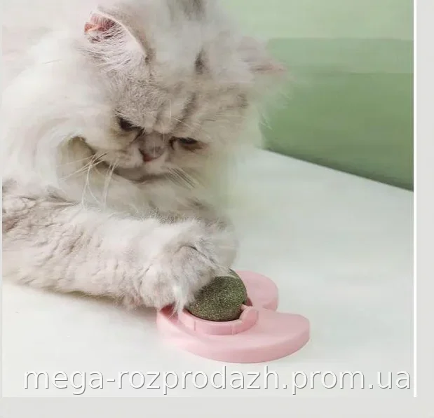 Игрушка для кошек AND LY-757 с кошачьей мятой, вращающийся шарик на стену, крепление на липучке, пластик