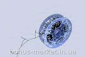 Гирлянда-мишура 30 м зеленая на проводе с пультом ДУ и 8 режимами, 900 LED-светодиодов 220 В для дома