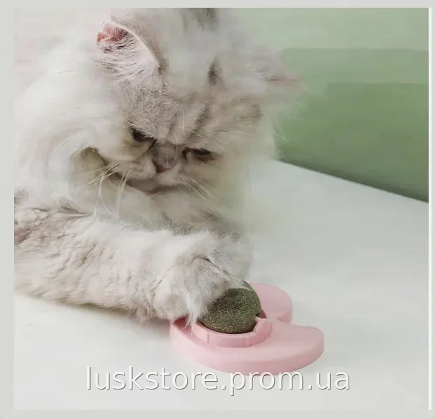 Игрушка для кошек AND LY-757 мячик с кошачьей мятой, вращающийся ролик и крепление на стену на липучке